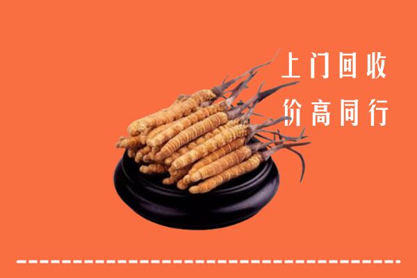 嘉黎县回收冬虫夏草