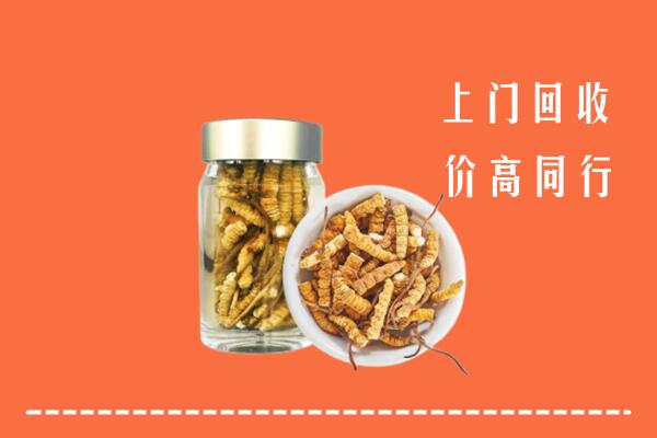 嘉黎县回收冬虫夏草